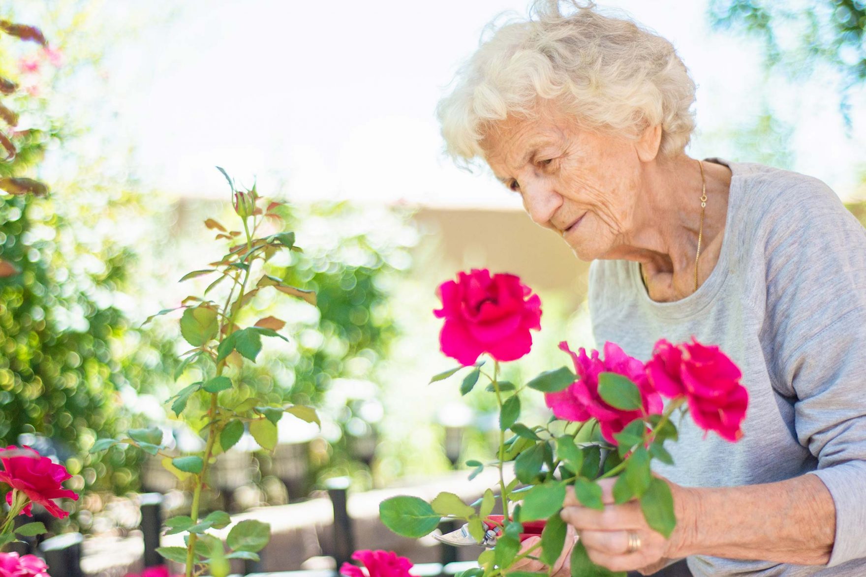 adult-day-care-center-york-sc-adult-enrichment-centers